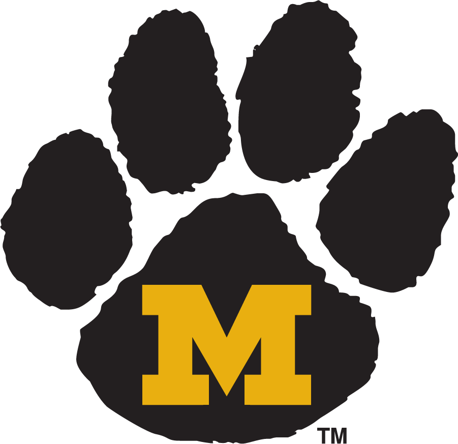Missouri Tigers 1995-1999 Primary Logo DIY iron on transfer (heat transfer)